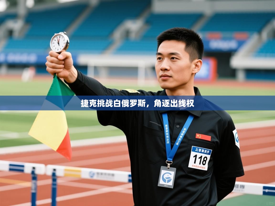 捷克挑战白俄罗斯，角逐出线权  第2张