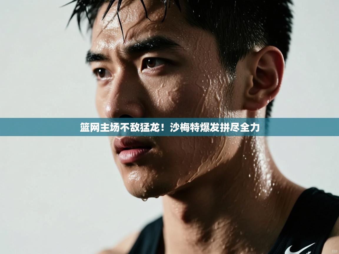 篮网主场不敌猛龙！沙梅特爆发拼尽全力  第2张