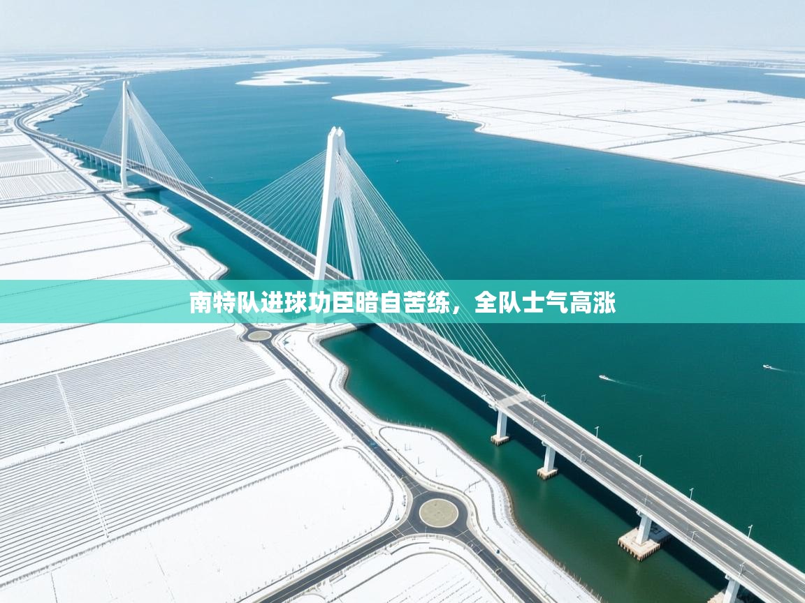 南特队进球功臣暗自苦练，全队士气高涨  第1张