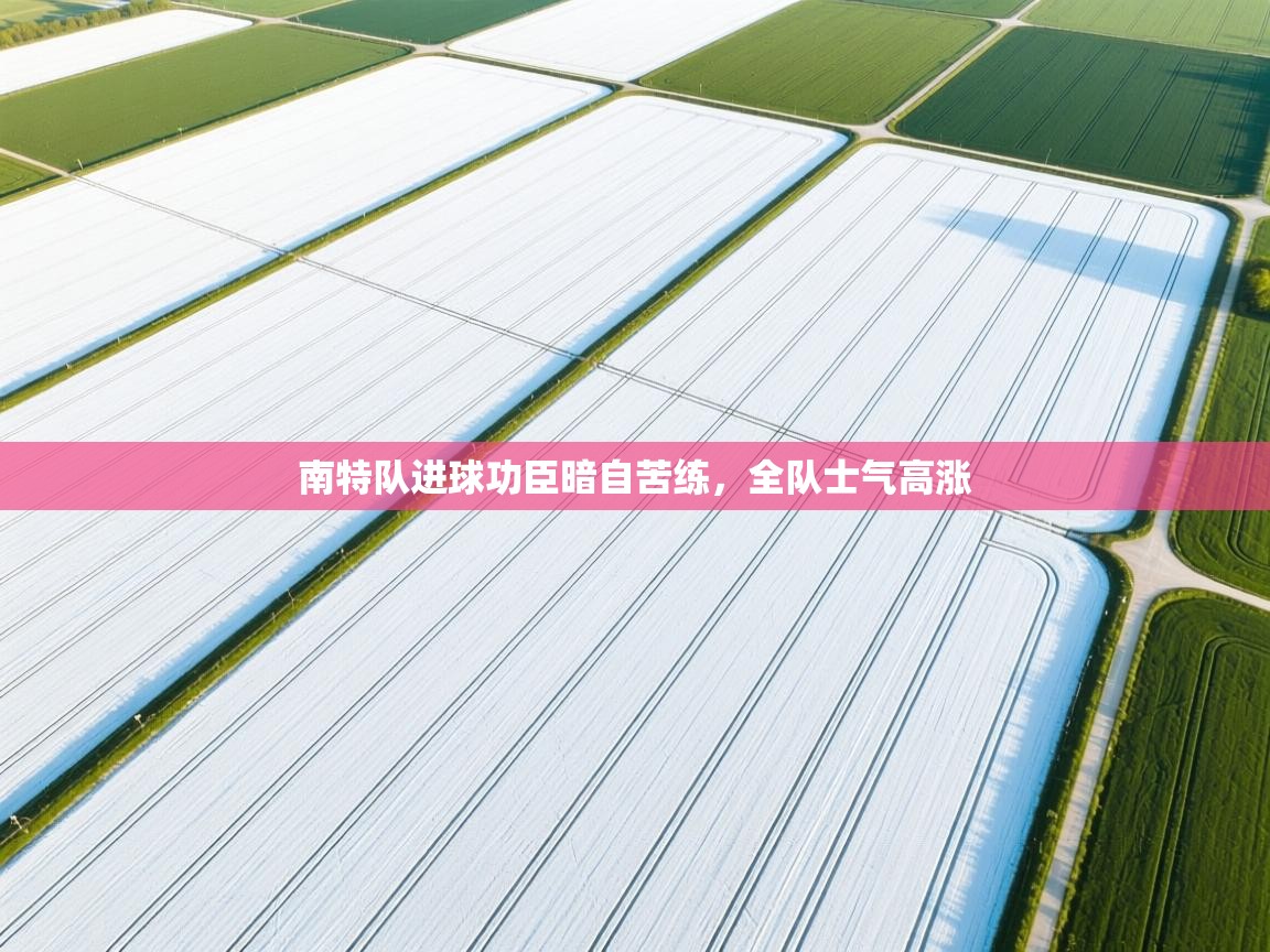 南特队进球功臣暗自苦练，全队士气高涨  第2张